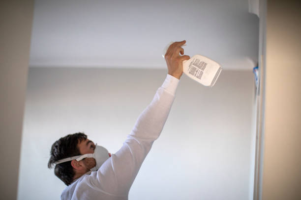 Best Residential Mold Removal  in Greenwood, MO