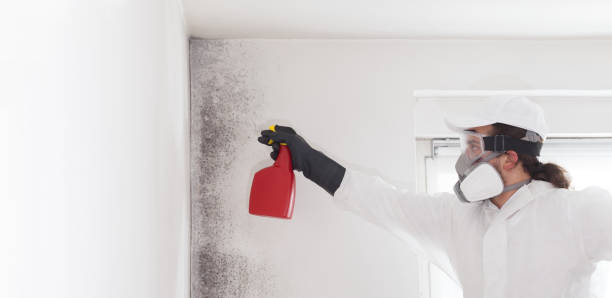 Best Crawl Space Mold Removal  in Greenwood, MO