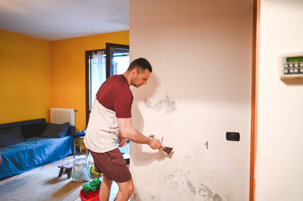 Best Mold Cleaning Services  in Greenwood, MO